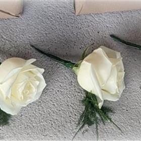 fwthumbZ Buttonhole Collection White Rose 3.jpg